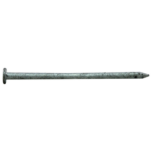 National Nail Common Nail, 16D, Steel, Galvanized Finish 0054198